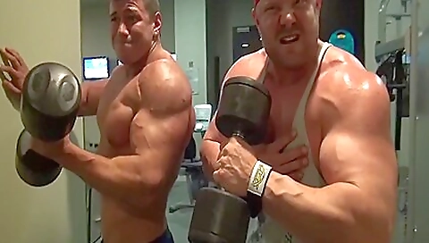 Shemal dirkoni lineting on the beach