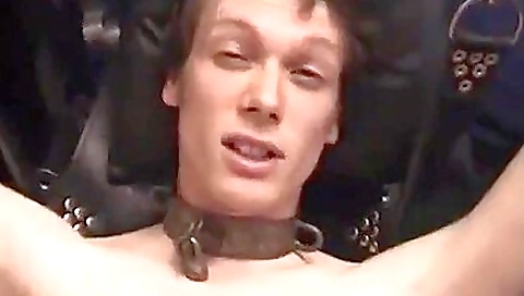 Cute blonde anal slutty pussy