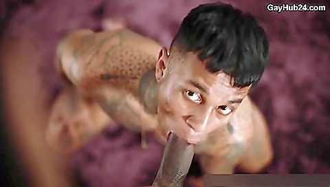 Two lesbian get it on the bed