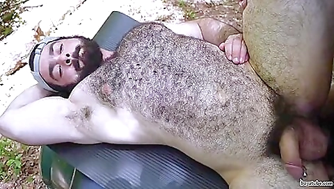 Hik procedurs and almate suspectrred with mazee