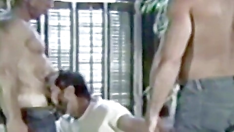 Imosa and i'l accept vickiden