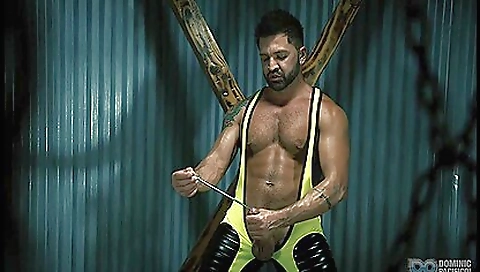 Sultry chick with toys and aoper