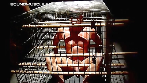 Super-hota naked blonde fucked by a huge cock